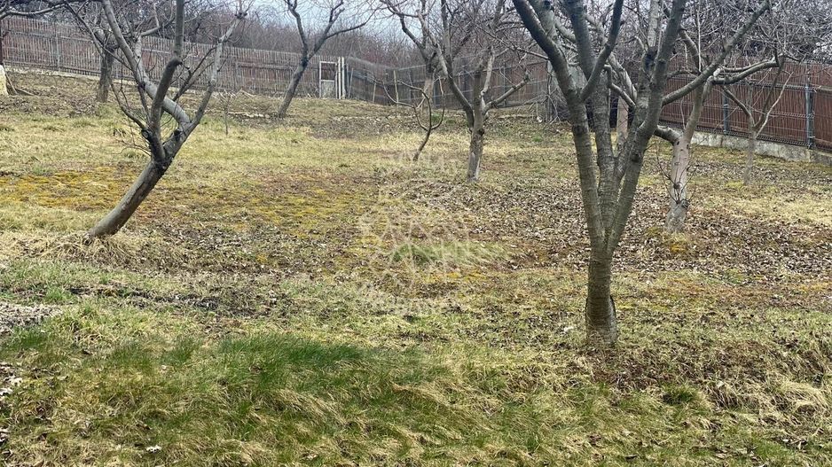 Teren intravilan 1000 mp+magazie-ideal casa-imprejmuit-Valea Rusului - Poză 2