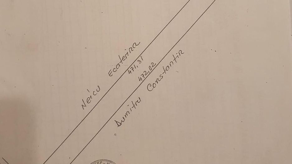 Teren de vanzare 12.700 mp Domnesti Curtea Domneasca - Poză 2