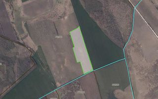 Teren Agricol, 11 HA, Bulăiești, Orhei - Poză 9