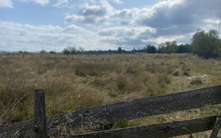 TEREN INTRAVILAN 5000 MP, GRUI, CAMPULUNG - Poză 1