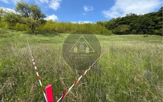 Teren de casa cu PUZ, Mosnei - Poză 5