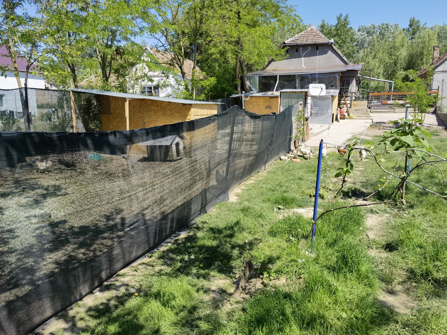 Casa Periam Port - Poză 15