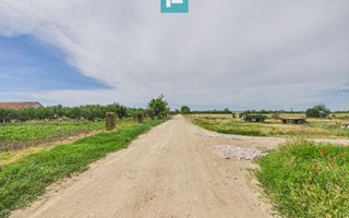 Teren extravilan în suprafață de 10.000 mp, Arad - Poză 7