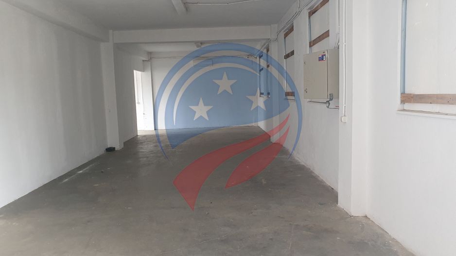 2 HALE de 357 mp si 474 mp  si teren intravilan de 5423 mp  Isalnita - Poză 7