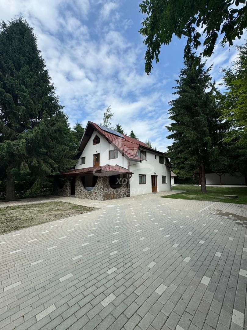 Pensiune/ Vila Valea Avrigului - Poză 24