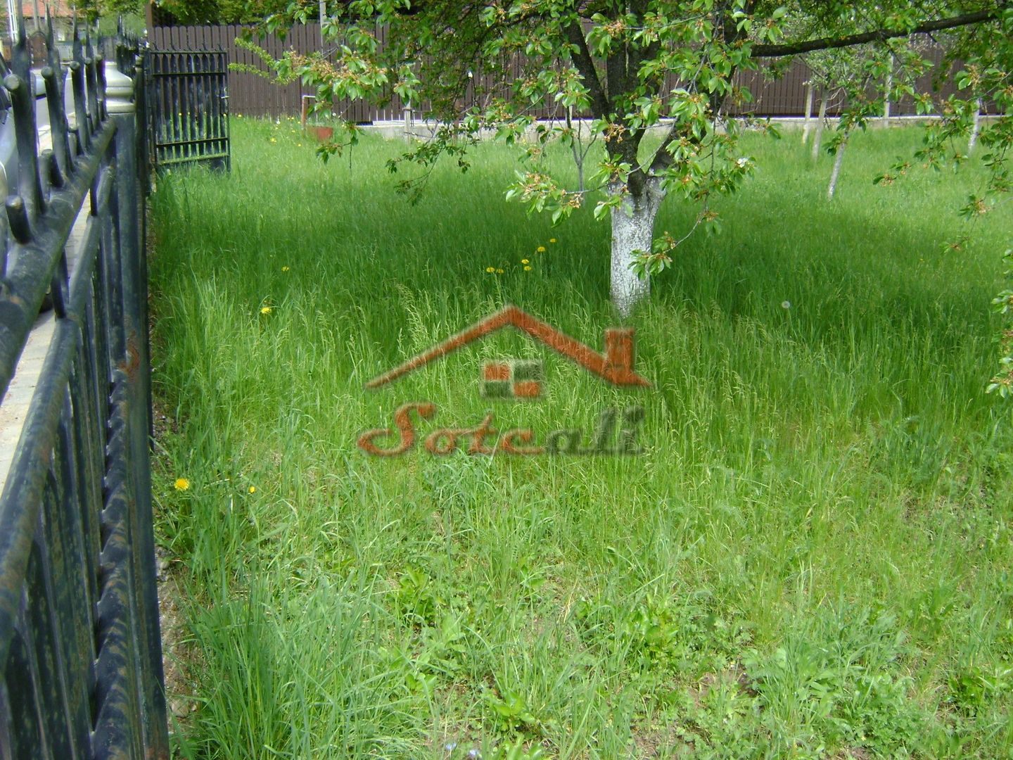 Teren de vanzare in Cornu 1183 mp - Poză 5