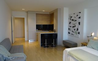 Studio Iancu Nicolae 133-Residence 5 - Poză 11