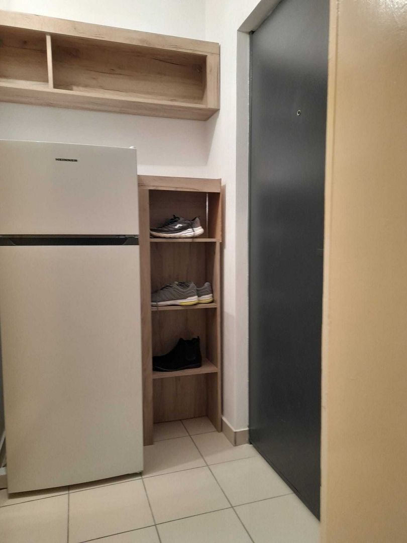 Garsoniera Crinul de Padure Parc Drumul Taberei - Poză 6