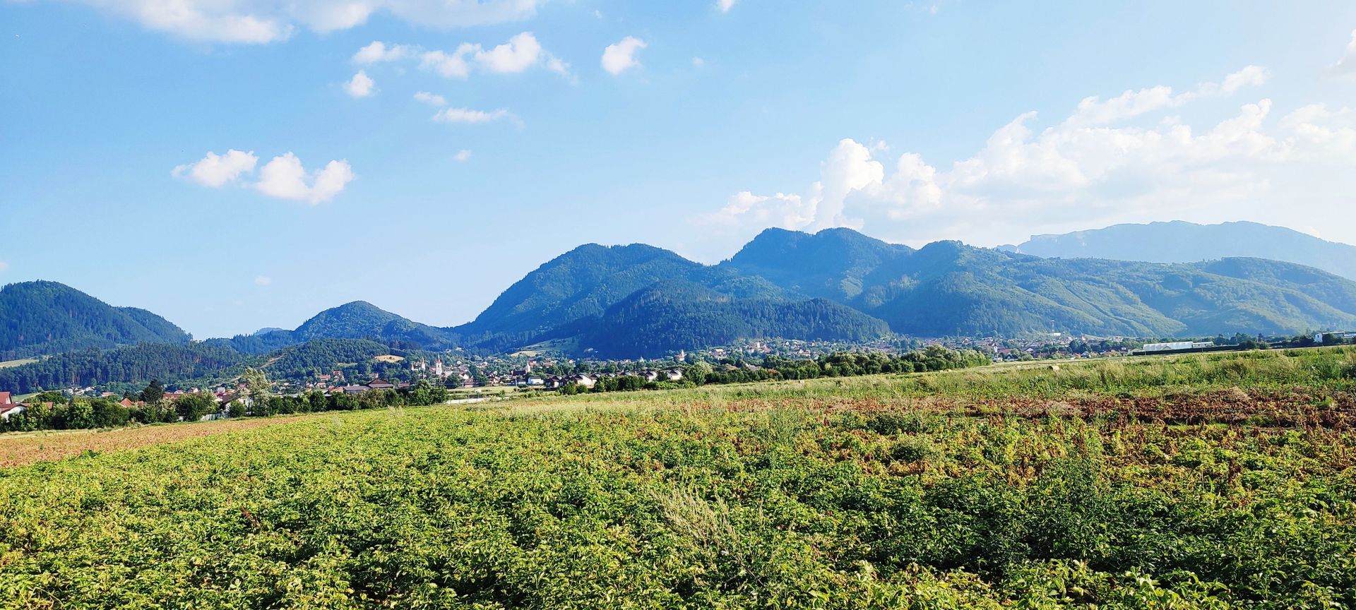 teren intravilan in Sacele-Baciu - Poză 3