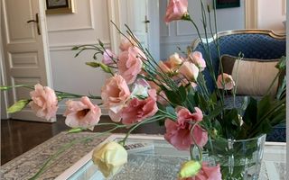 APARTAMENT DE  LUX  IN ZONA NEPTUN - Poză 3