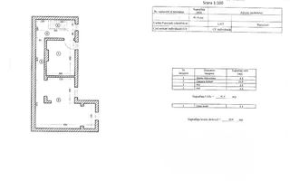 Vila spatioasa | Complet renovată | Central - Poză 31