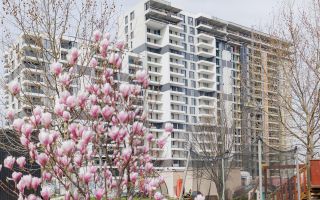 Apartament 3 camere | Aviatiei | Bloc nou - Poză 2