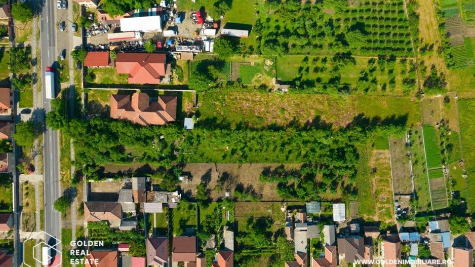 Vila 15 camere, zona Gai, teren 3452 mp, comision 0% - Poză 19