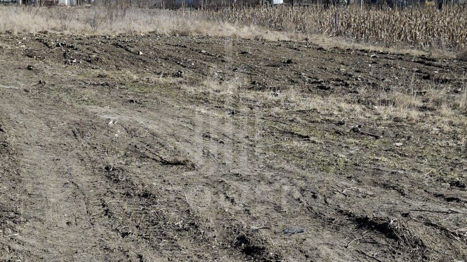 Teren intravilan de vânzare în Sibiu| Gușterița – proiect de casă single avizat - Poză 3