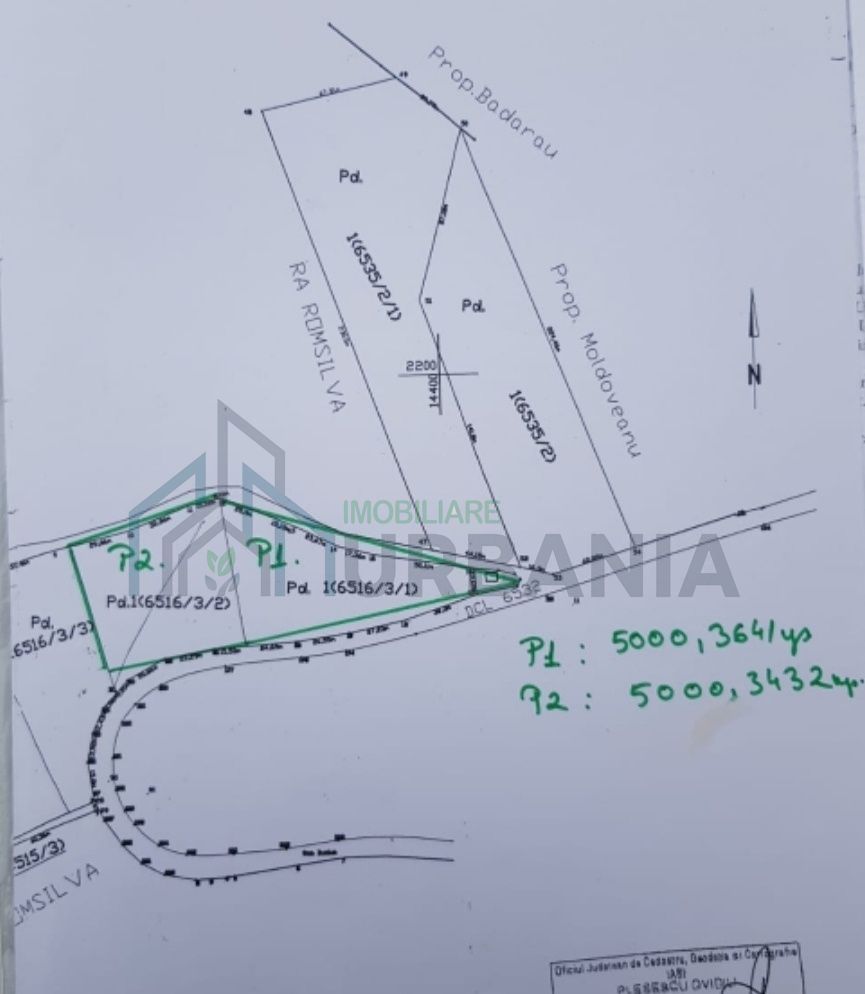 Teren forestier de 10.000 mp în zona Bucium, Iași – Oportunitate de investiție - Poză 1