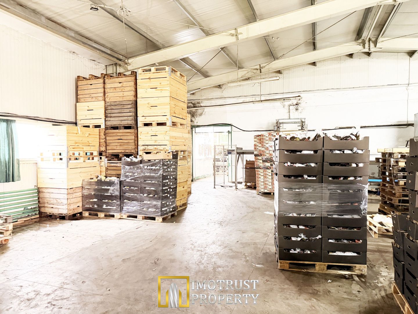 Hala industrială de vanzare Arad 540 mp, depozitare la rece, acces TIR - Poză 7