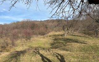 Teren  extravilan I 5300 mpI  Salatrucel -Calimanesti - Poză 3