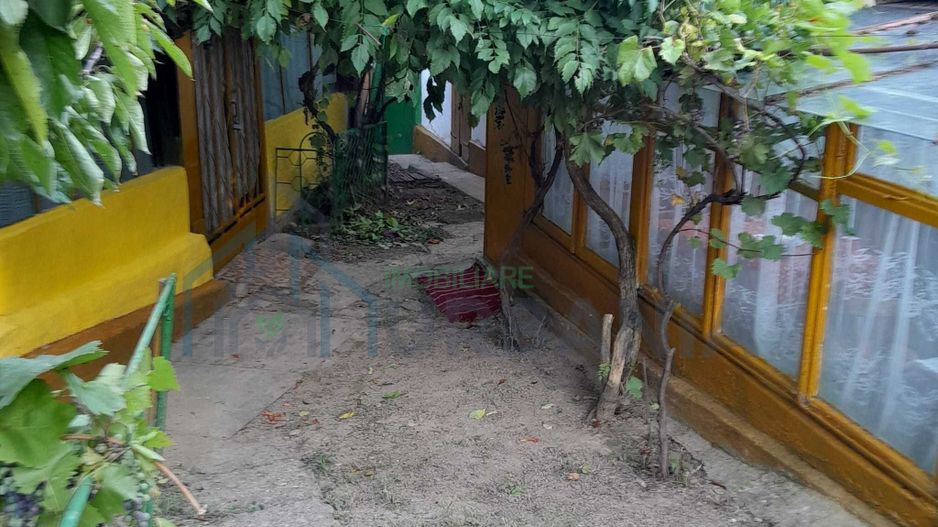 Gospodărie țărănească de vânzare în Cozia, jud. Iași - 2 clădiri, anexe și teren 6.700 mp - Poză 3