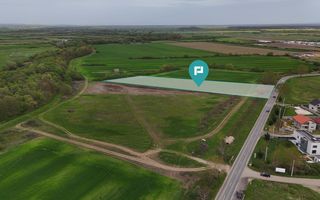 Teren intravilan 5800 mp în Remetea Mare - Poză 3