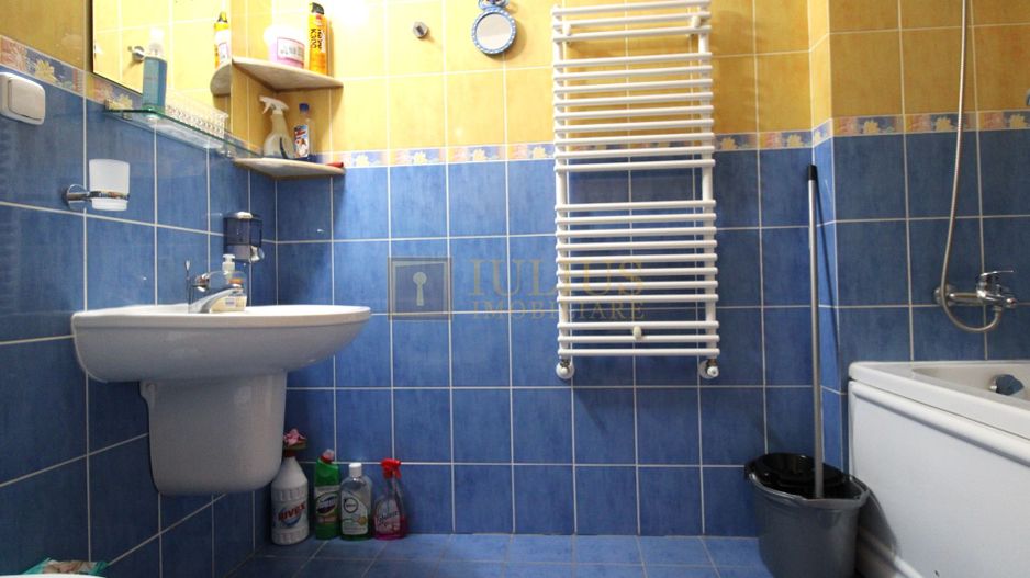 Zona linistita, posibilitate decontare-Sagului - Poză 9