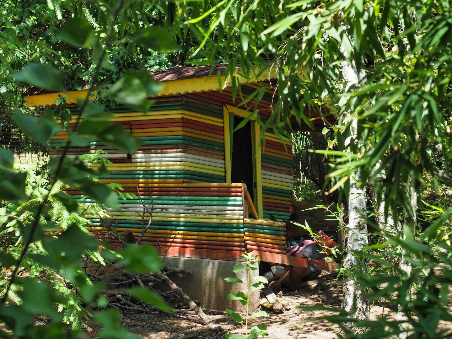 Vila 6 camere-teren 1800mp-Snagov Izvorani-lac - Poză 17