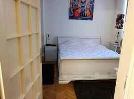 De vanzare Apartament 3 camere in vila, Hala Traian- Mantuleasa - Poză 7