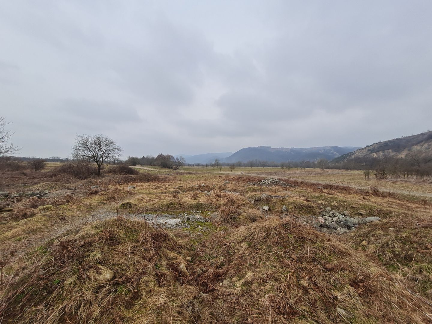 Teren intravilan 4400 MP - Poză 1