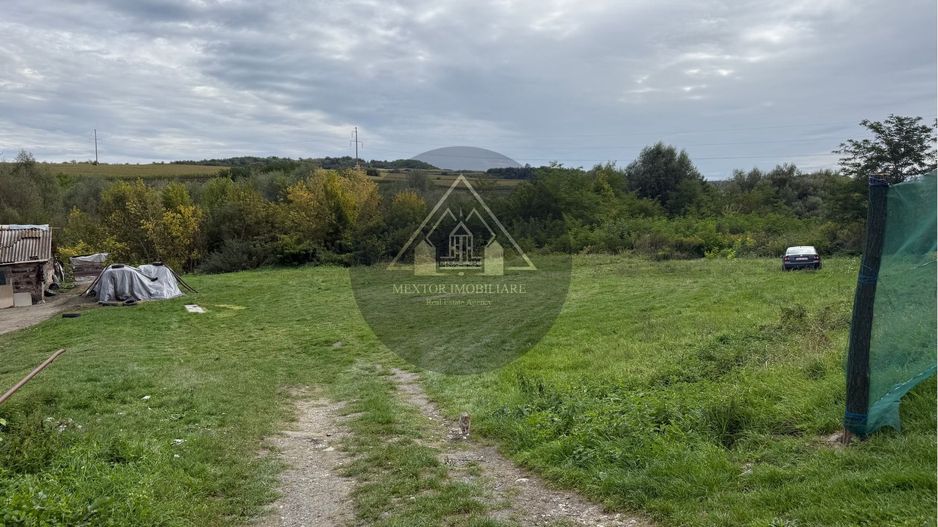 Teren Copsa Mica - Poză 4