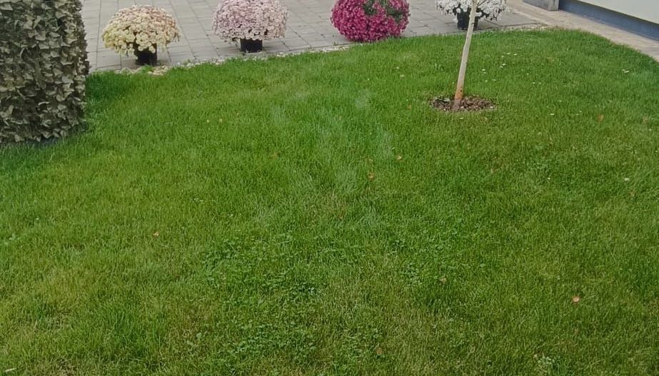 Casa Parter!  3 dorm.+2 bai+2 parcari ! Aproape de centura, Domnesti ! - Poză 15