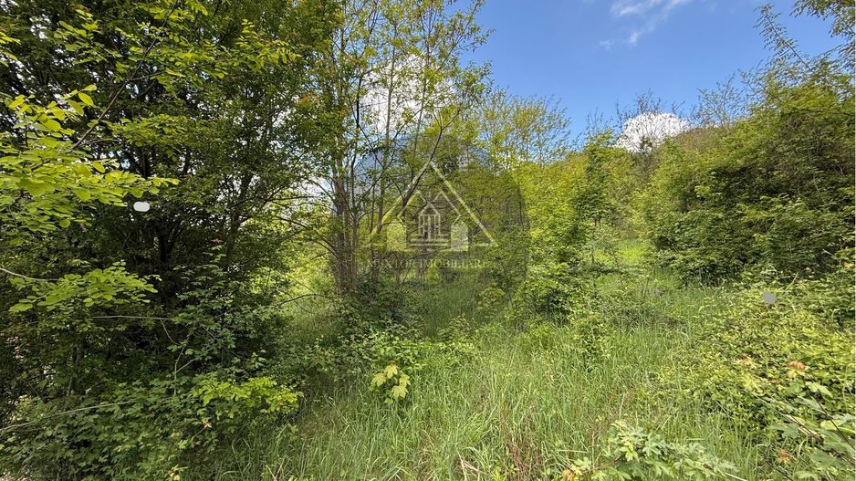 Teren constructii Medias - Poză 4