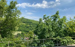 Posibilitate investitie dar si locuinta! Vanzare conac in Viforata - Poză 4