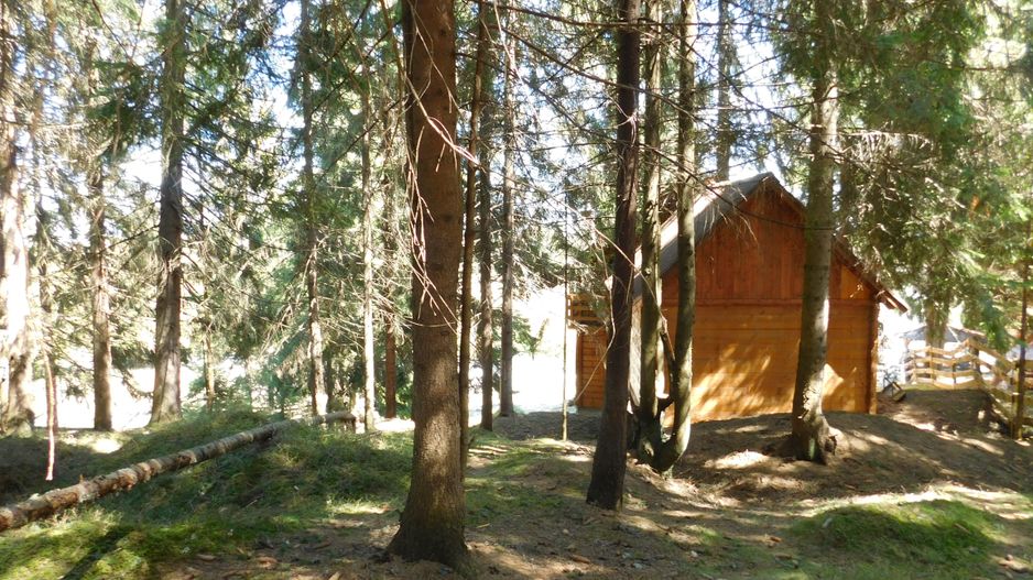 Casă de vacanta de vanzare, in Marisel, langa Cabana Motilor - Poză 53