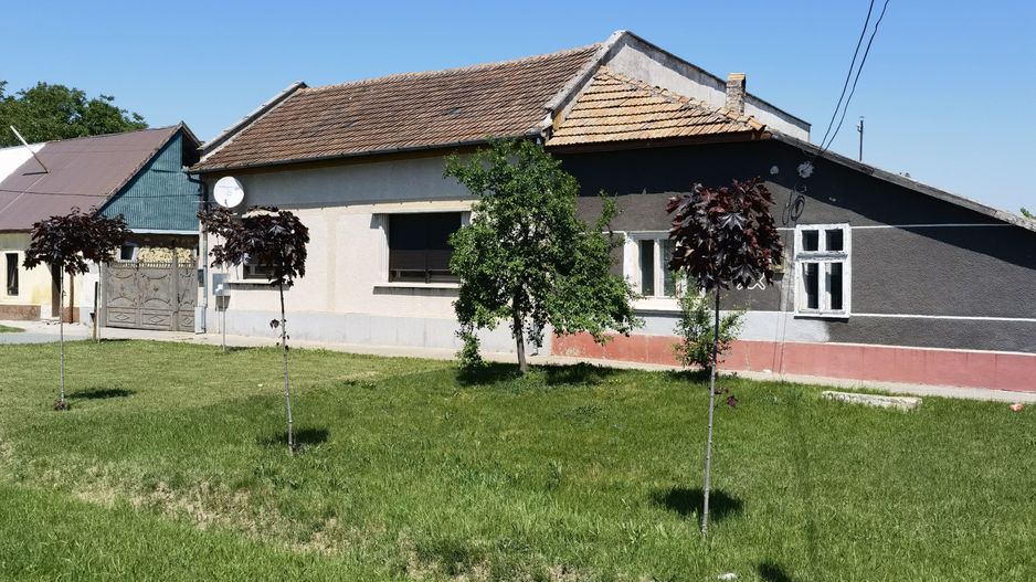 Casa ultracentral Periam - Poză 33