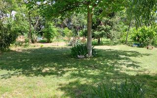 Casa 3 camere Parter Giurgiu Com Bucsani - Poză 9