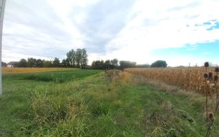 Teren intravilan de 10 arii de vânzare în Cătălina – zonă în plină dezvoltare - Poză 2