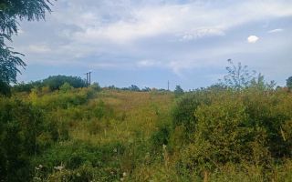 Teren de vanzare | Hidiselul de Sus | Bihor - Poză 4