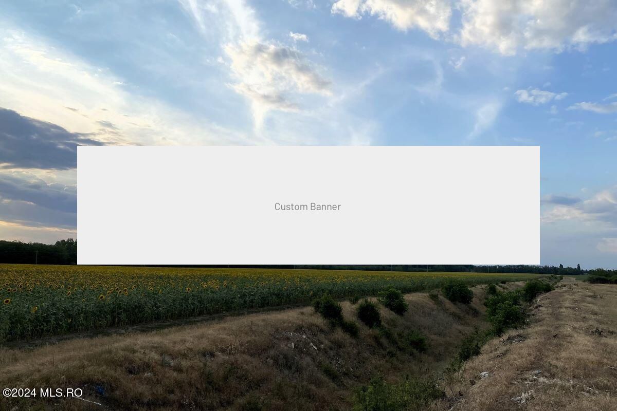 Tamasi, langa padure, 12.824 mp, deschidere 45 ml, teren cu potential - Poză 10