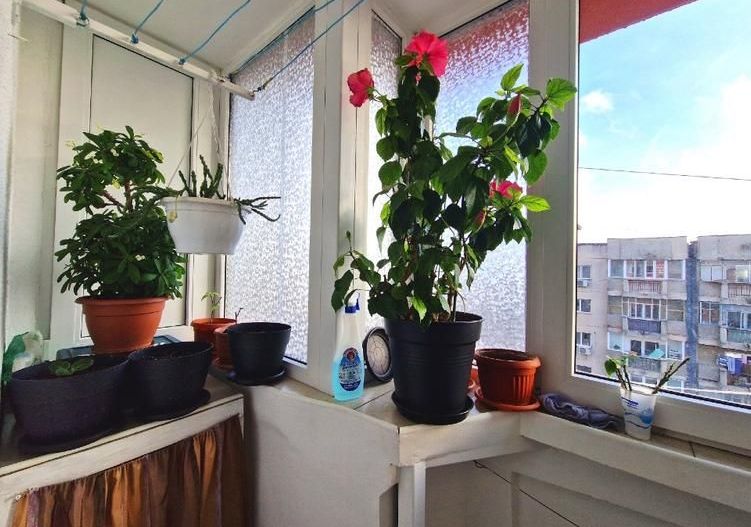 Apartament 4 Camere | 13 Septembrie | Sebastian | Marriott | - Poză 13