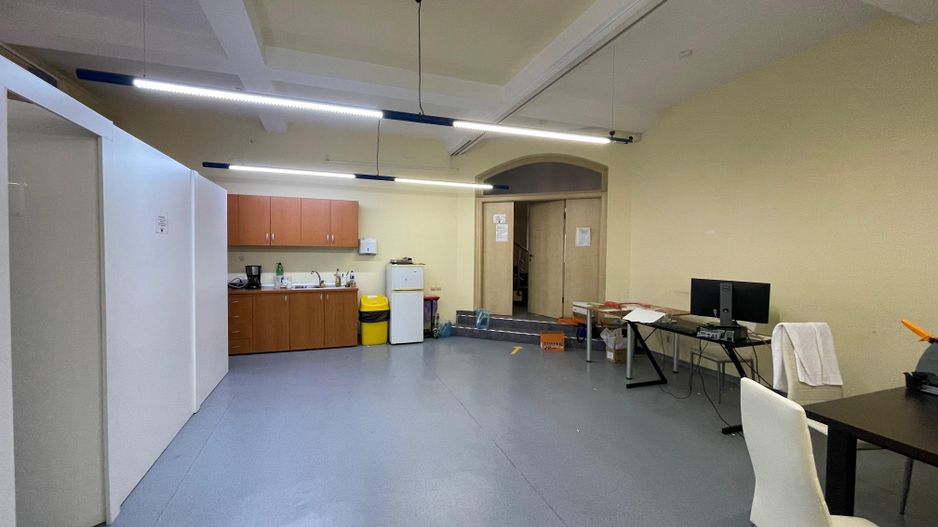 Spatiu bussines de 490mp intr-o vila pe 4 niveluri - Timisoara - Poză 28