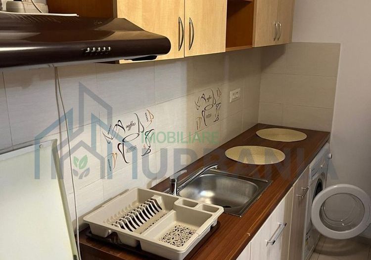 Apartament 1 camera de inchiriat, mobilat si utilat, Iasi - Poză 7