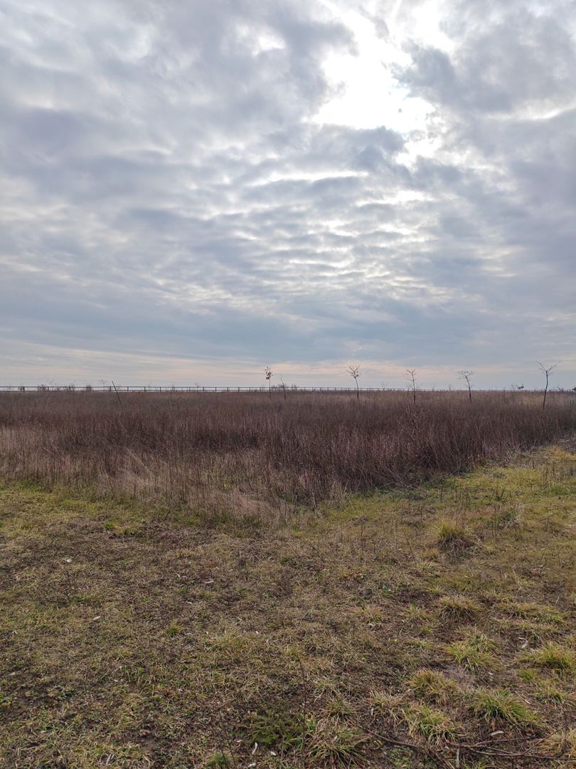 Teren (livada) destinatii multiple, imprejmuit, zona super - Poză 3