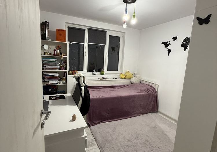 Apartament 3 camere renovat bloc anvelopat Valea Argesului, Drumul Tab - Poză 3