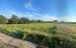 Teren Intravilan 1450mp - Jucu de Mijloc - Poză 2