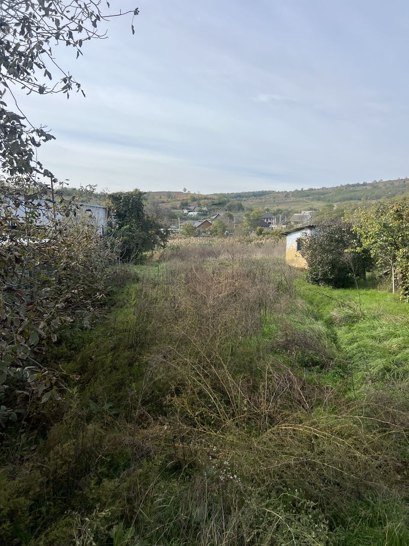 Teren pentru Constructii 32 Ari in Molesti - Poză 3