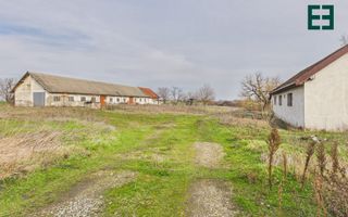 Proprietate industrială + Teren 8.632 - Voiteg - Județul Timiș - Poză 21