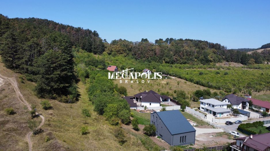 Reședință de Lux la Poalele Dealului Lempeş - Poză 13