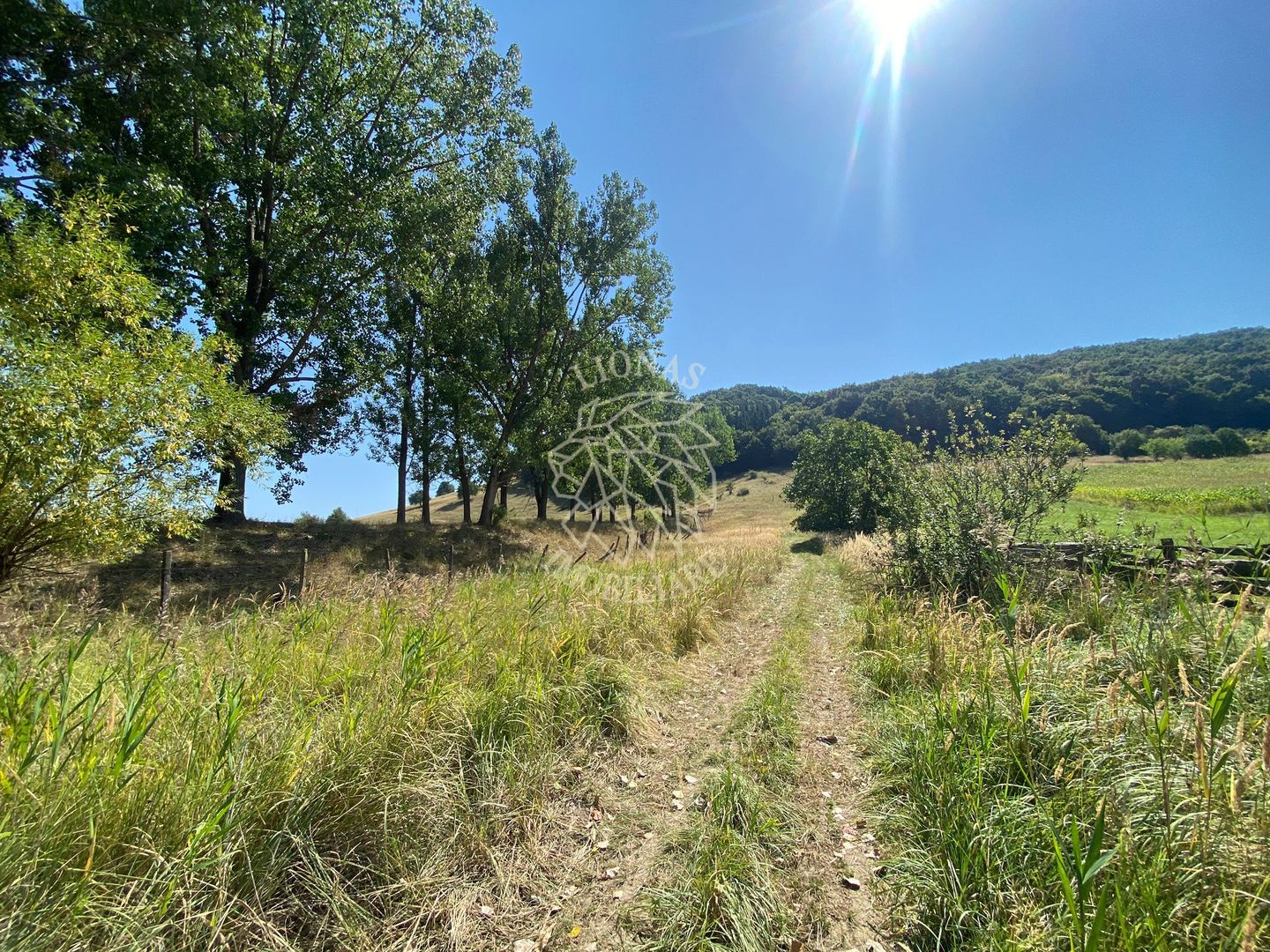 Teren intravilan 2600 mp - pretabil casa/investitie-Zona Aerodrom - Poză 5