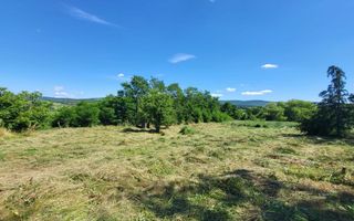 Teren de vânzare, Ciurea – 771 mp, intravilan, utilități - Poză 7