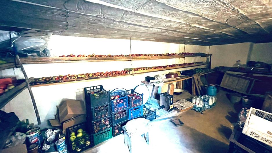 Casa 6 camere Finis - Poză 6