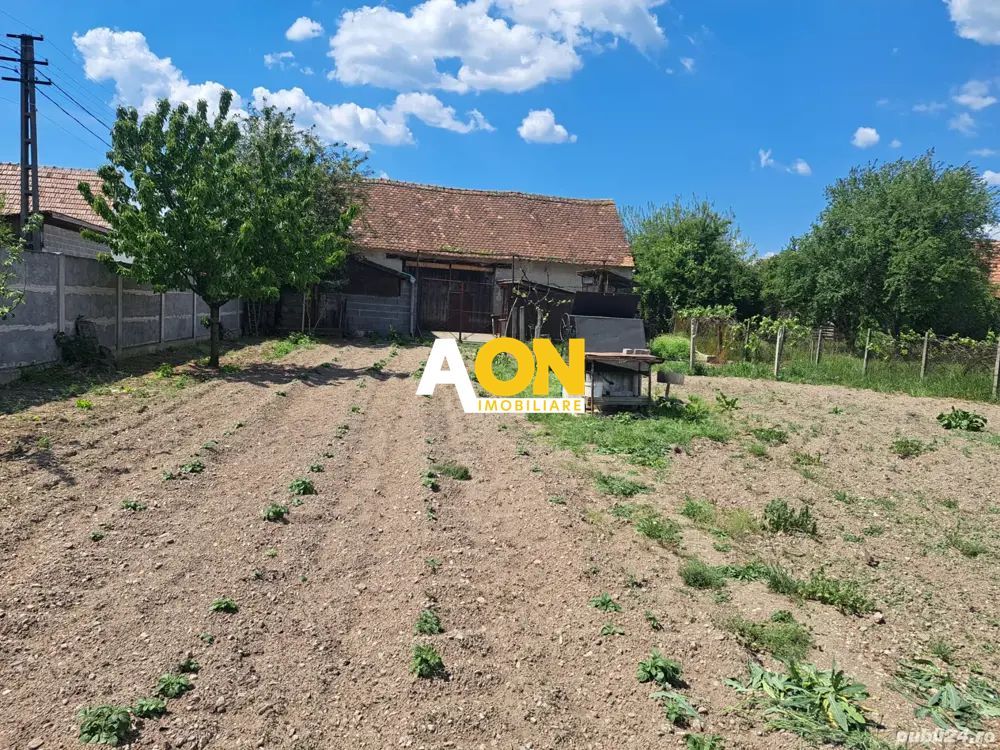 Casă traditională, 3 camere, 1766 mp teren, la asfalt, Vintu de Jos - Poză 5